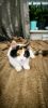 IMG_20260903_133541.thumb.jpg.4cbabcbd6cc2ac4c1f0a7e02a1e39107.jpg