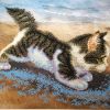 IMG_20260906_163916.thumb.jpg.baebc8cbafd501366592530ba1f9e61a.jpg