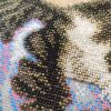 IMG_20260906_163920.thumb.jpg.f95b7e14af79bc83beb0c026391160bf.jpg
