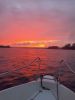 IMG_20260907_074230_078.jpg
