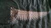 IMG_20260909_061324.thumb.jpg.5e6a1ed9c1f252e2d49a7afb399677fe.jpg