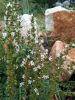 IMG_20260912_144428.thumb.jpg.7b91680cb285901f1b42e3f038b8ee9d.jpg