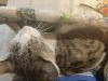 IMG_20260913_111504.thumb.jpg.61ea53ce2be53b5e565ace970e47fdfd.jpg?1789380418773