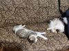 IMG_20260920_231859.thumb.jpg.e70cd5723410b668f877cc8491ad7150.jpg