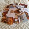 IMG_20260926_153241.thumb.jpg.583fd60e293d568d3b9188c72c12189a.jpg
