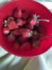 IMG_7448.jpeg