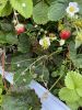 IMG_7490.jpeg