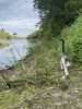 IMG_8194.thumb.jpeg.71be13c724cc1bc5af7f94671ffb55ad.jpeg