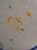 IMG_8905.jpeg