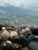 V0_B0KkE4GbKzuF7GbkXWXgQCXsB_LXbiSg2EuecElY4qrLR1Vbc396uhWri54YzghClDwXB-4fVViA2ZNxiWVo8.thumb.jpg.237cb015714d2c7033afc4673eeb7ab1.jpg
